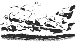 Sketchbook Taupo 2 5cm.GIF (5383 bytes)